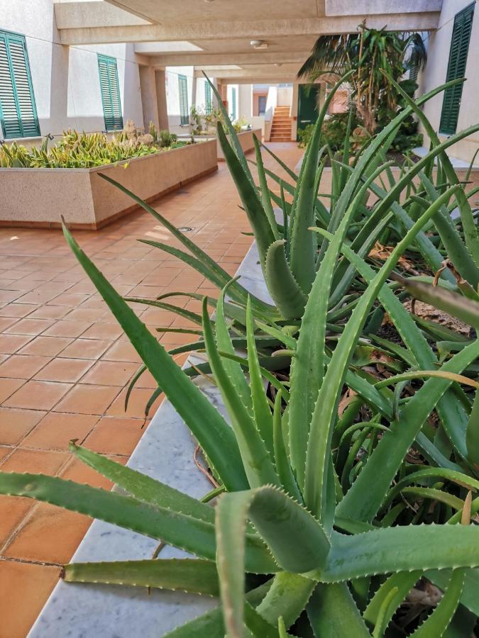 Balancon Pool Apartment El Medano  Exterior photo